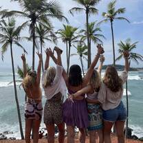 Coconut tree hill