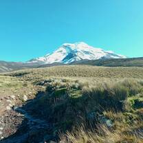 Volcán Chimborazo taken from the páramo