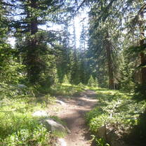 The view of the trail during our 1 week trek