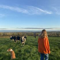 Ireland 