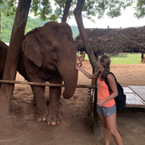 Elephant sanctuary 