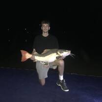 Big fish in a small pond 