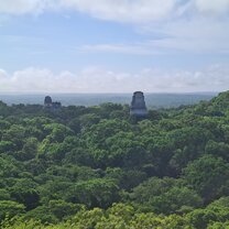 Tikal