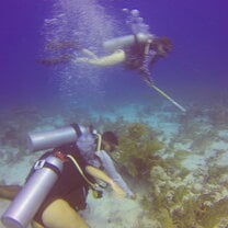 Lionfish hunt