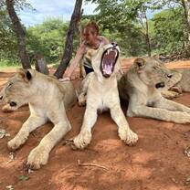 Walking with the Lions experience 