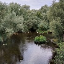 River on campus