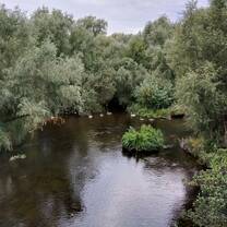 River on campus