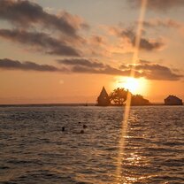 Sunrise swim 