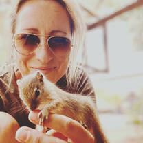 Kai the Baby Squirrel 