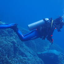 Diving!