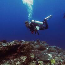 Diving