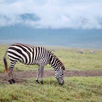 photo from Safari trip