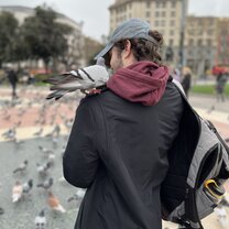 Pidgeons in Placa Catalunya