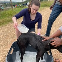 Community outreach project with dogs.