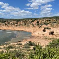 A weekend away in Port Elizabeth visiting Addo Elephant National Park.