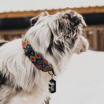 @maria.collars Instagram