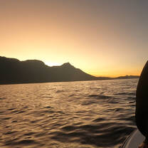False bay diving day at sunset