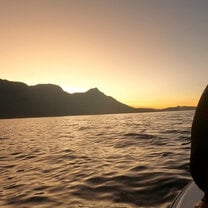 False bay diving day at sunset