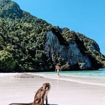 Monkey Beach Phi Phi Islands 
