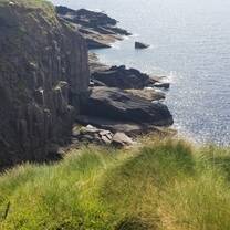 A peak at the amazing grass