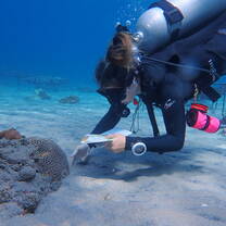 Coral Watch april 2022