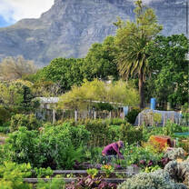 OZF Farmers Market, Cape Town, South Africa