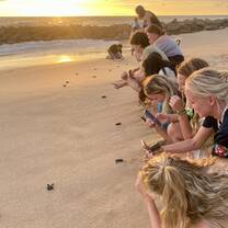 Turtle release! 