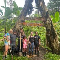 Tree planting 