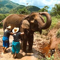 Mudding with the elephants 