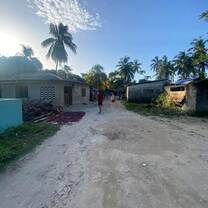 The walk to school