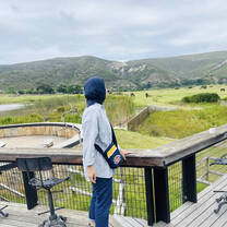 Safari on the Garden Route