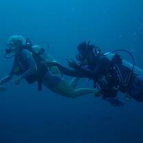 Scientific Diver Speciality Course with Katon