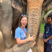 Linda the Elephant at Phuket Elephant Sanctuary 
