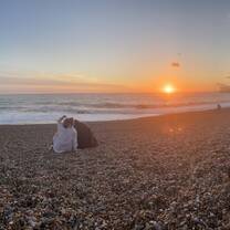 Beach Sunsets