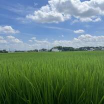 Ibaraki, Japan countryside 