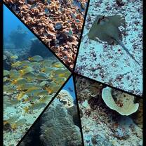 Amazing underwater world!