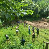 Permaculture plot
