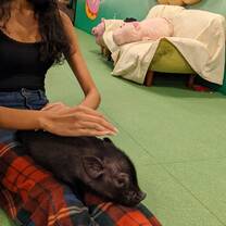 Pig Cafe!
