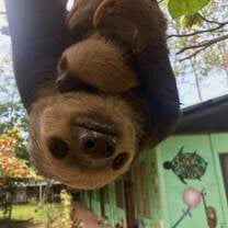 Visit to wildlife sanctuary