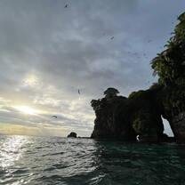 Isla Pajaro, Boca del Drago, Panama