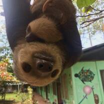 Visit to wildlife sanctuary