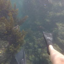 Snorkeling at Tuneles