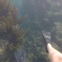 Snorkeling at Tuneles