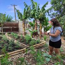Gardening 