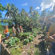 Learning about Permaculture