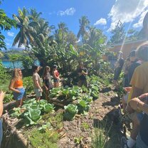 Learning about Permaculture