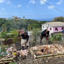 Building Organic Gardens