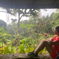 Admiring Vincy Nature
