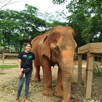 At Elephant Nature Park (ENP)