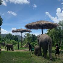 Elephant sanctuary